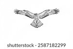 A dynamic sketch capturing the precise moment a falcon dives at incredible speed, its wings streamlined and talons ready. 