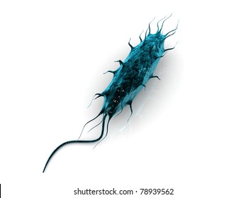 8,396 E Coli Bacteria Images, Stock Photos & Vectors 