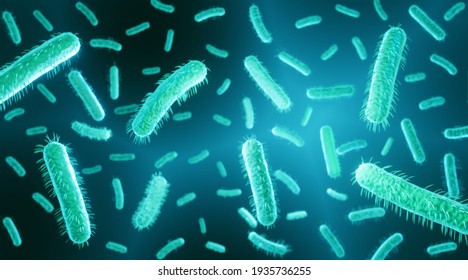 E Coli Is A Gram Negative Bacteria, Part Of Human Intestine Microbiome, Escherichia Coli Can Couse Food Poisoning, 3d Illustration