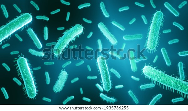 E coli is a gram negative bacteria, part of\
human intestine microbiome, escherichia coli can couse food\
poisoning, 3d\
illustration