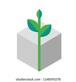 e commerce Eco pack