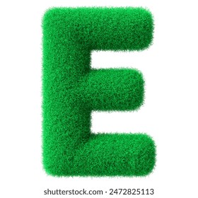 E Fuente Grass 3D