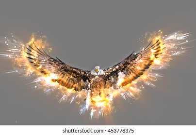 Eagle Animal Concept Can Be Used Stock Illustration 453778375