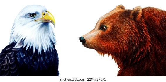 Eagle   bear profile drawing isolated  Animal illustration white background 