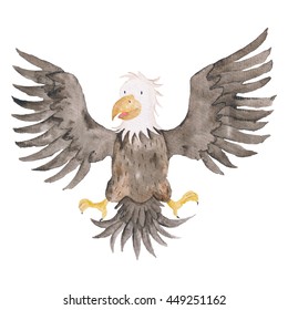 Eagle Bird watercolor Illustration Isolated on the white
