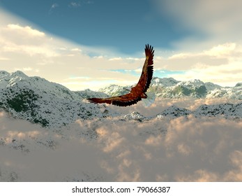 eagle in the cold mountains