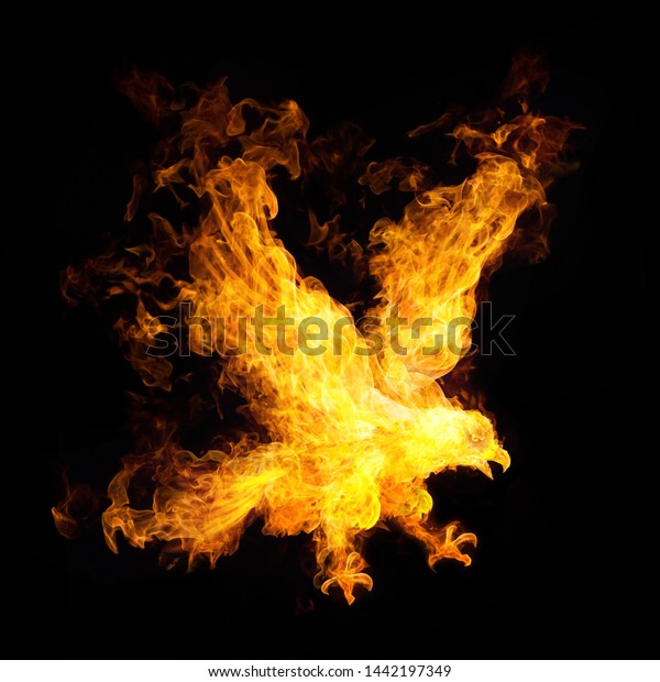 Burning bird