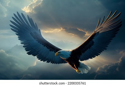 Eagle Flying Above The Sky