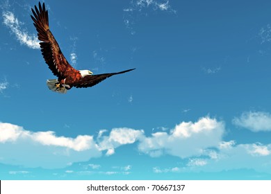 Eagle flying on a background of the  blue sky - Shutterstock ID 70667137