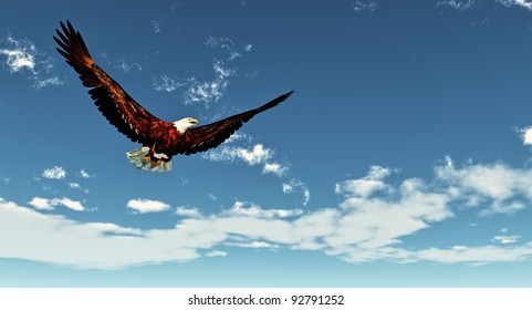 Eagle flying on a background of the  blue sky - Shutterstock ID 92791252