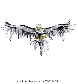 Eagle flying in the sky. creative illustration for watercolor prints