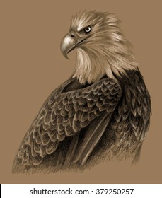 Eagle hand drawing brown background