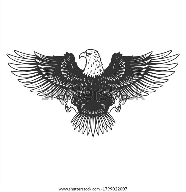 Eagle Illustration Free Art Design Stock Illustration 1799022007