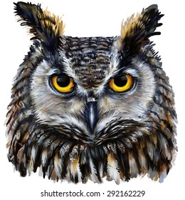 Eagle Owl Drawing Color Images Stock Photos Vectors Shutterstock