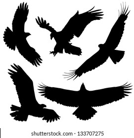 Eagle Silhouette on white background. Raster version with clipping paths