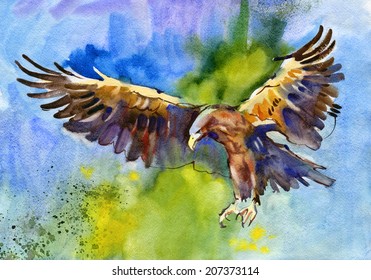 Eagle. Watercolor.