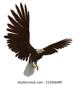 Eagle White Background