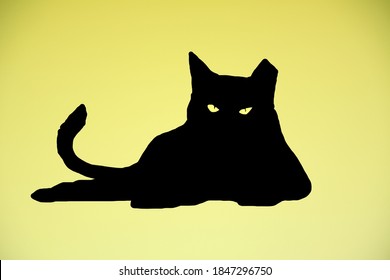 An ear tipped cat facing forward with staring yellow eyes and a swished-up tail.