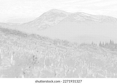 Early flowers meadow and snow capped mountains engraving hand drawn sketch  Photo  realistic monochrome landscape rough drawing  High quality nature scenery pencil art  Creative detailed graphic image