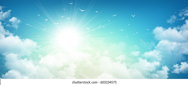 Early morning sky background, sunlight through white clouds and free birds flying away