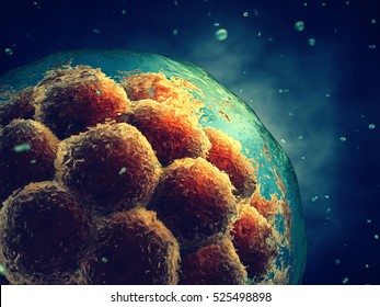 Early Stage Embryo , Stem Cell Research , Morula , 3d Illustration