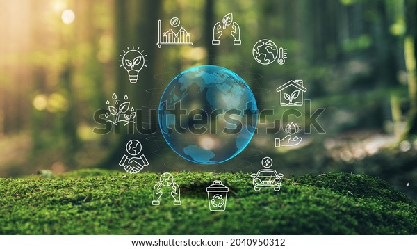 Earth Ecological Green Energy Icons Concept Moss\
in Forrest Background 3D\
Render