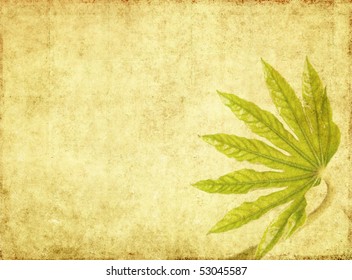 earthy background image with floral elements
