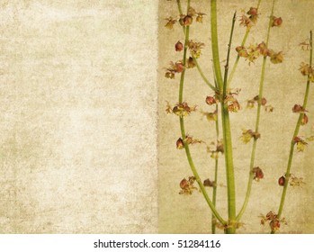 earthy background texture with floral elements