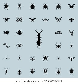 Earwig Icon. Insect Icons Universal Set For Web And Mobile