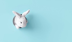 Easter Bunny Peeps Out Of The Blue Wall. 3d Rendering