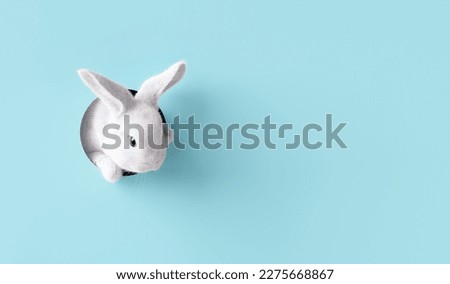 Easter bunny peeps out of the blue wall. 3d rendering Сток-фото © 