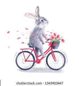 bunny bikes