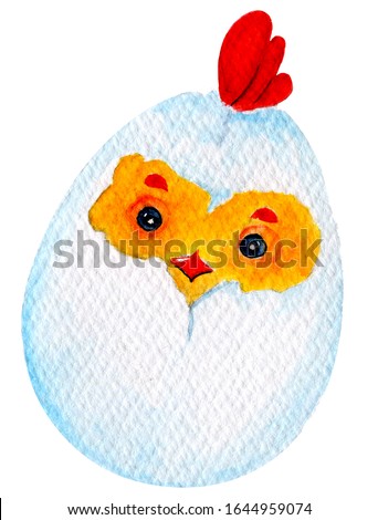 Easter Chicken in the egg, Little newborn superhero, funny easter illustration with chicken character for easter holiday creative artworks, watercolor painting