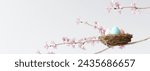 Easter eggs in bird nest on tree branches with white bright background. 3d rendering
