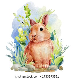 Easter Rabbit And Grass, Watercolor Clipart, Cute Bunny