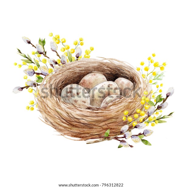 イースターの春の水彩イラスト ミモサの卵 柳の枝 花の鳥の巣 招待状 のイラスト素材
