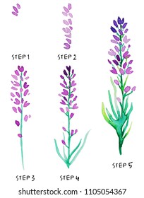 Easy Violet Lavender Watercolor Tutorial Way Stock Illustration ...