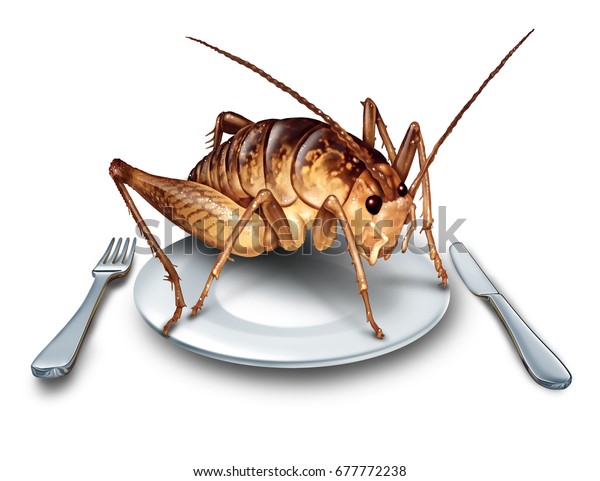 虫を食べたり 虫を食べたりするのは 3dイラストエレメントを持つ食べ物 で オオロギ虫の代わりに高タンパク質の栄養食を食べる代わりに ナイフとフォークを使った食べ物を食べる のイラスト素材