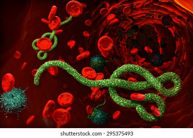 Ebola, Bacteria, virus, cell 3d