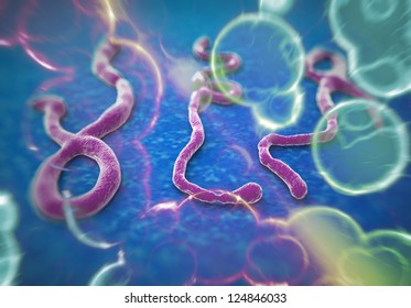 Ebola Virus