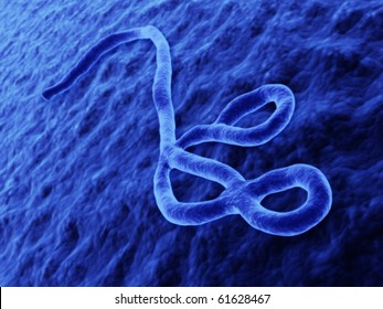 Ebola Virus