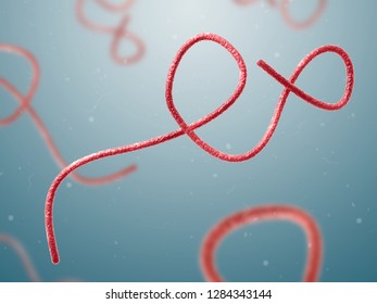 Ebola Virus. 3d Illustration. Zaire Ebolavirus.