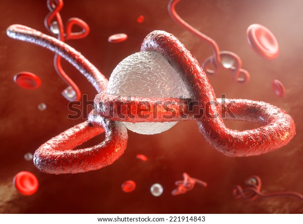 Ebola Virus\
Ebola virus attacks the immune system \
