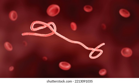 Ebola Virus In Blood, 3d Illustration