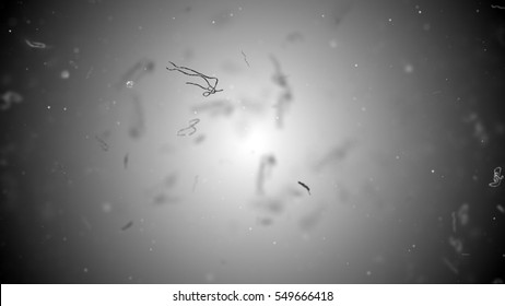 Ebola Virus Or Germs Microorganism Cells Under Microscope. Fast Multiplication Of Bacteria. Infection And Microbe. Microbiology, Popular Scientific Background. High Quality 3D Render.