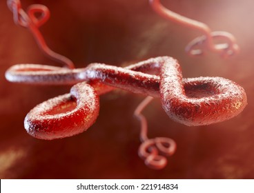 Ebola Virus ebola virus as macro photography