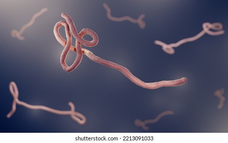 Ebola Virus Particles, 3d Illustration