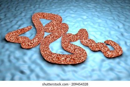 Ebola Virus under a microscope, danger, contagion, epidemic