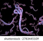 Ebola virus under the microscope. Epidemic contagion	