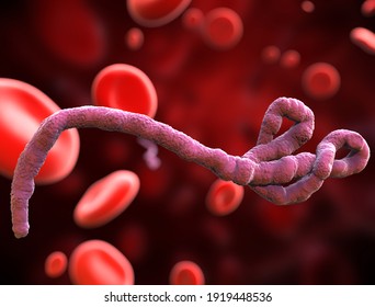 Ebola Viruses In Blood Of A Patient With Ebola Hemorrhagic Fever, 3D Illustration